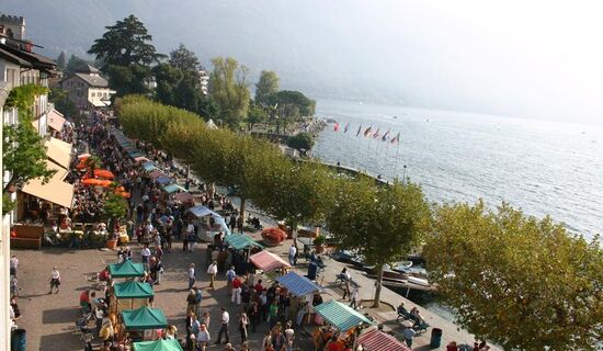 Kastanienfest image